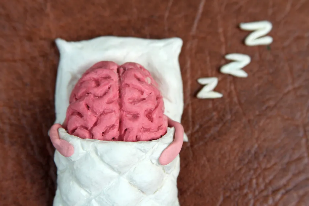 OMG Facts: Brain Sleep